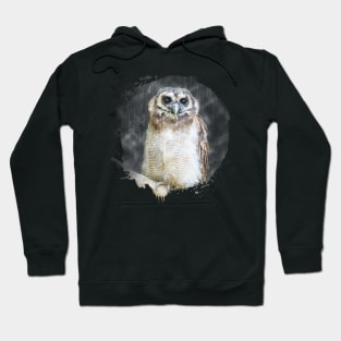 Owl Bird Animal Wildlife Forest Nature Flight Outdoor Hoodie